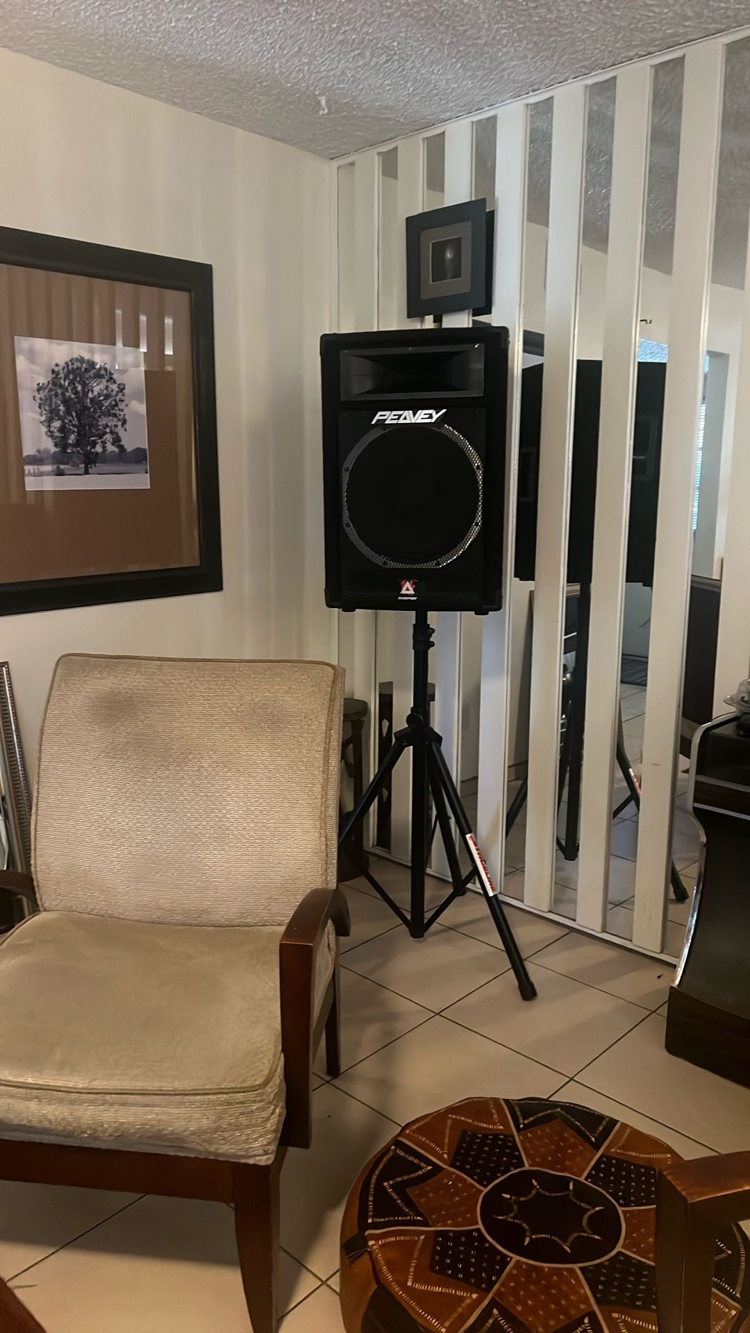 Dj system