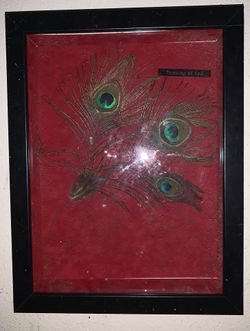 Asian Peacock Mask Box "Thinking of you"