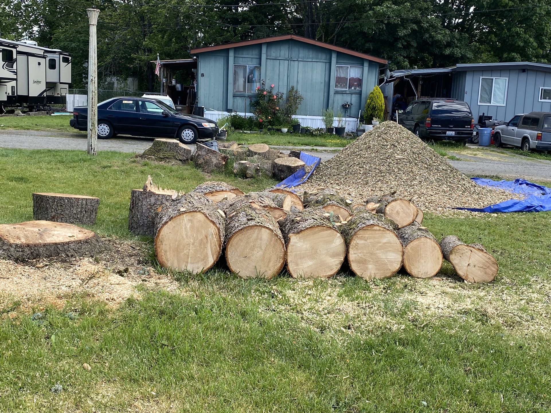 Firewood Rounds