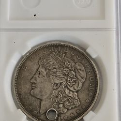 1921 Morgan Denver Mint Silver Dollar In Protective Slab!!