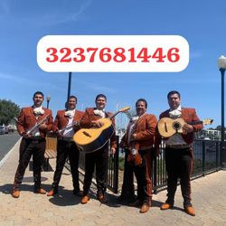 Trumpet Violín Mariachi