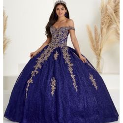Quinceañera / Party Gown Size 2