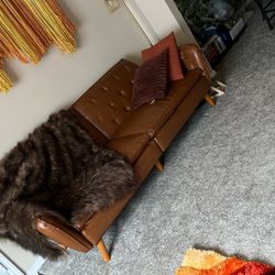 Brand New Couch