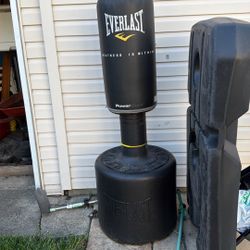 Everlast Punching Bag