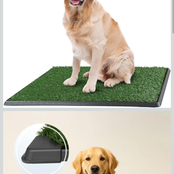 Potty Patch XL 20x30 *NEW*