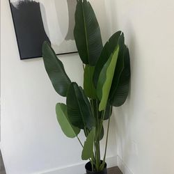 Fake Plant 4 Ft 