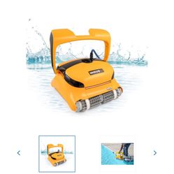 Dolphin Wave Pool Cleaner
