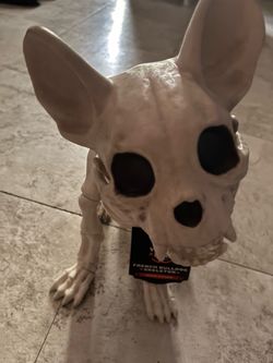11 inch French Bulldog Skeleton Halloween Decoration great on your tables