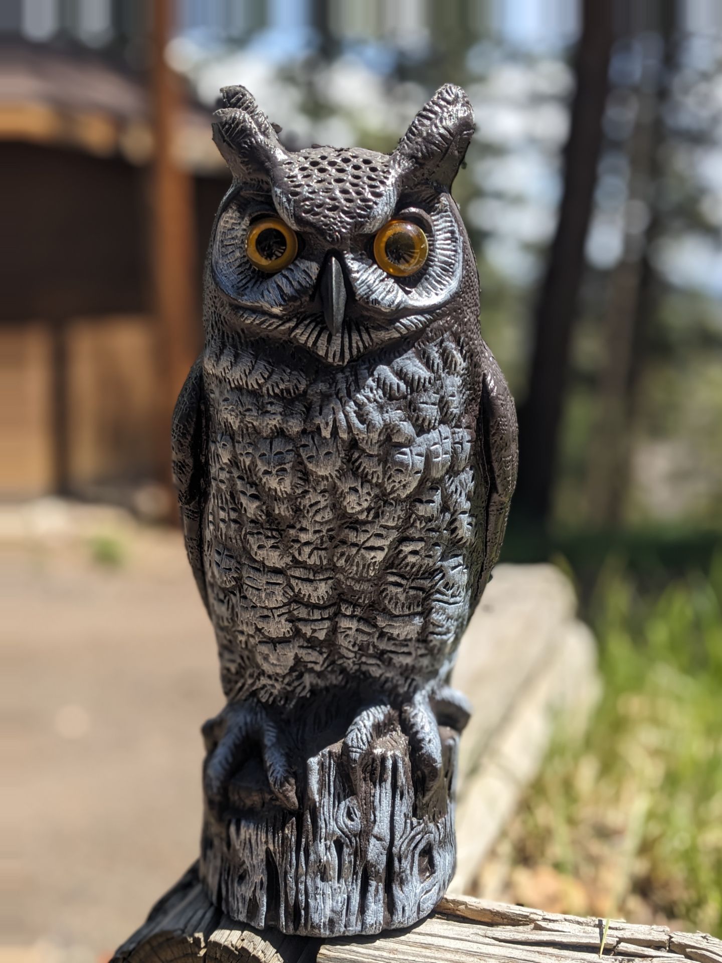 Owl statue