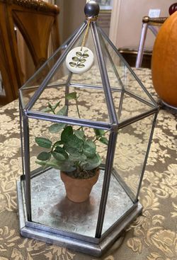 Hexagon Glass And Aluminum Terrarium