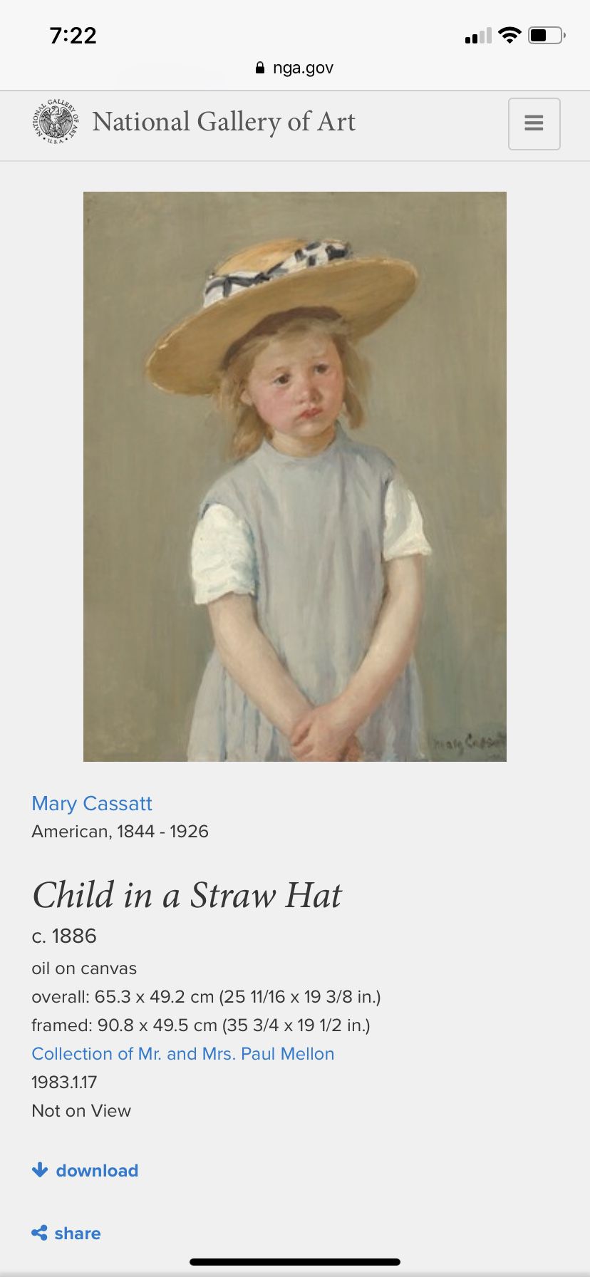 Child in a straw hat artwork
