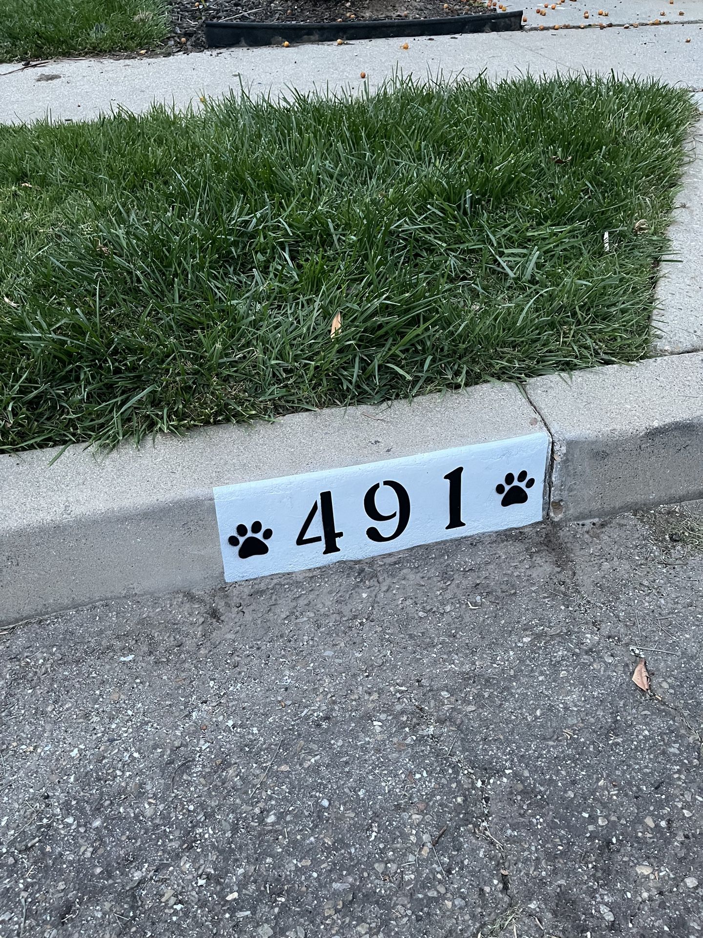 Paw Prints