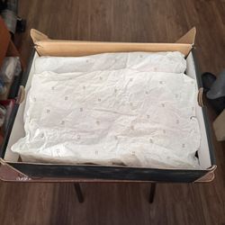 Nike air Jordan size 13