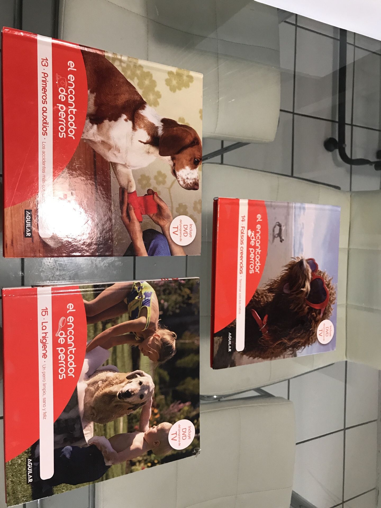 Encantador de perros libro con DVD