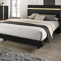 New Queen Bed And Mattress