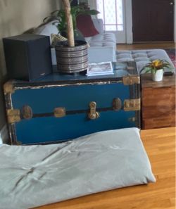 Trunk blue