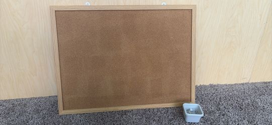 Cork board + pins