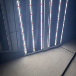 2 Luces