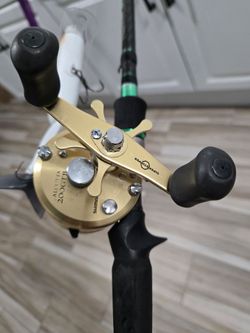 Irod jr swin rod shimano calcutta