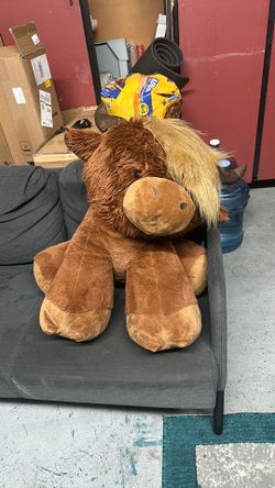 Highland cow FREE