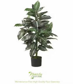 3 ft. Artificial Zebra Silk Plant