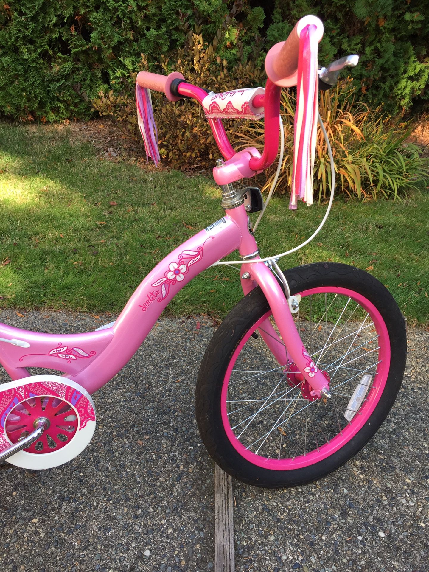 Schwinn girl bike