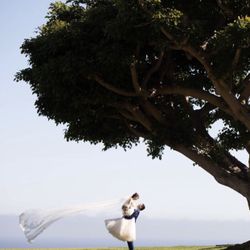 wedding dress with gorgeous veil