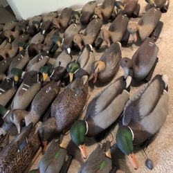 Duck Decoys, Weights, Line, Decoy Bags!! 