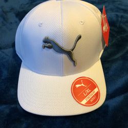 Puma Hat