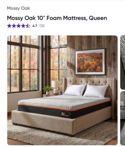 Queen Mattress Mossy Oak 10” Foam Mattress