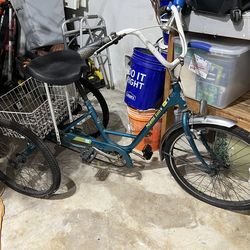 Adult Tricycle