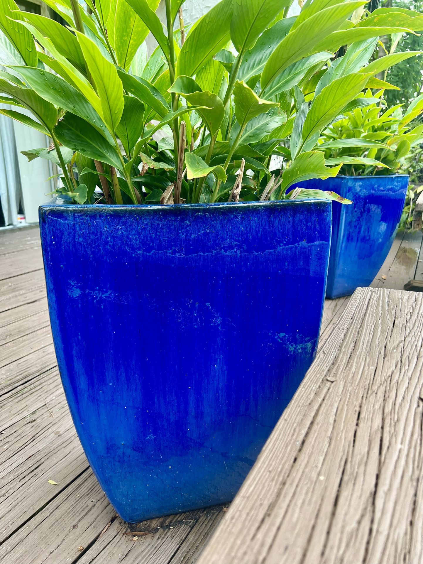 Vibrant, Blue Ceramic Pots Extra Large