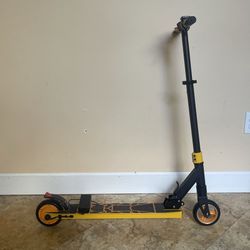 Swagtron Electric Scooter 