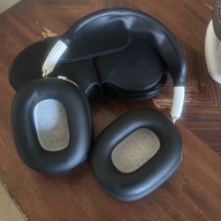 Apple Head Phone Max