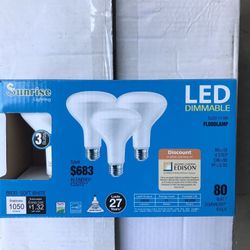 Led 1050 Lumenes Flood Lamps