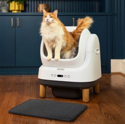 SMART LITTER BOX