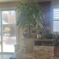 Plan For Sale  Money Plan 