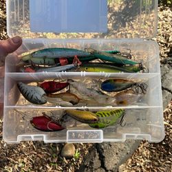Jerk Baits And Crank Baits