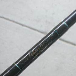 California 880j Deckhand Fishing Rod 20-40lb 8ft Saltwater Fishing Rod 