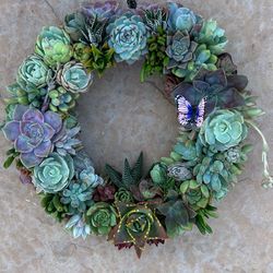 Springtime Living Succulent Wreath
