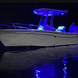 2000 Grady White 209