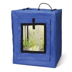 Carolina Plant Light House with Light Bulb