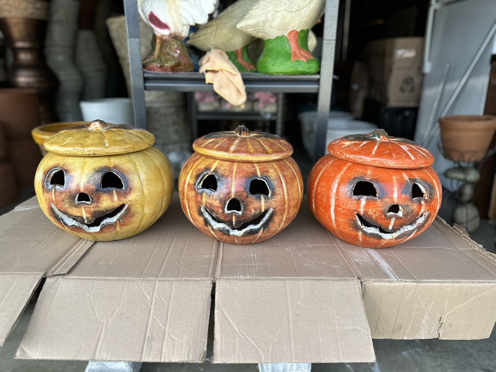 Terracota Pumpkin