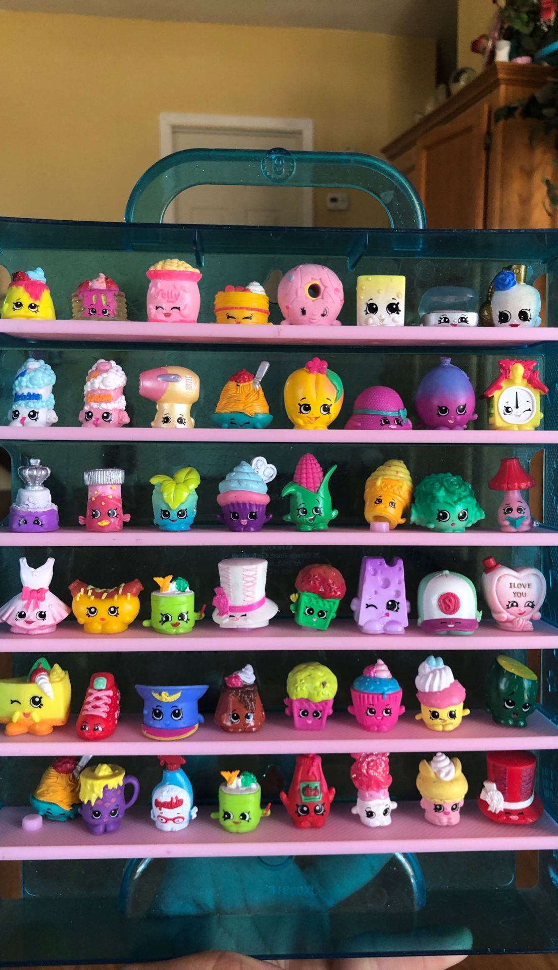 Shopkin case w shopkins