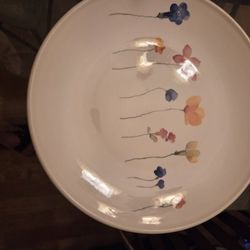 Royal stanford Floral antique dinner plates