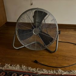 Fan