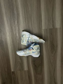 Lebron 13s