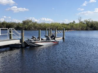 2006 Bass tracker 15.7’