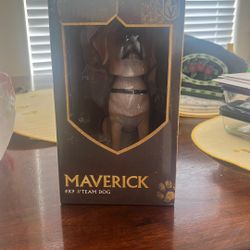 Maverick Team Dog
