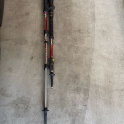 Black Diamond Trail Shock trekking poles